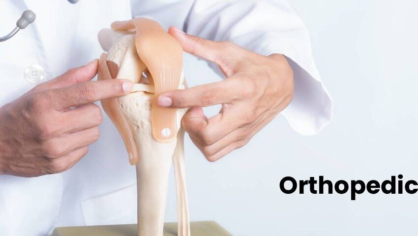 Doctor explaining knee joint model for orthopedic care